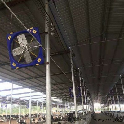 昊牧 风机 牛舍风机 牛场风扇图3