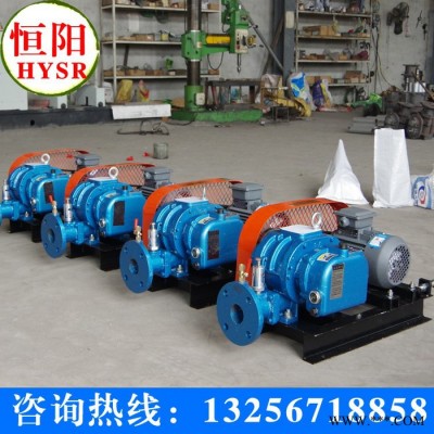供应恒阳HYSR50-300罗茨风机/章丘鼓风机/三叶罗茨风机图2