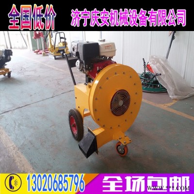 手推式马路吹风机 小型马路吹风机 公路灰尘吹风机图3
