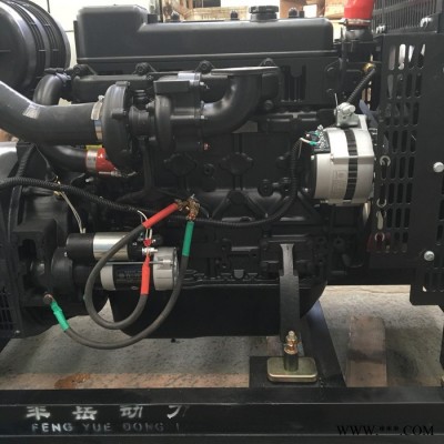 潍柴50kw发电机组 养殖场备用发电机 柴油发电机组 丰岳机械图2