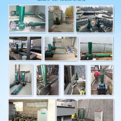 风机生产基地供应 啟正CCR65罗茨式风机图2