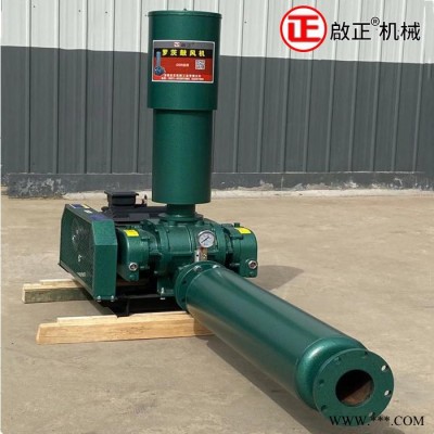 风机生产基地供应 啟正CCR65罗茨式风机图1