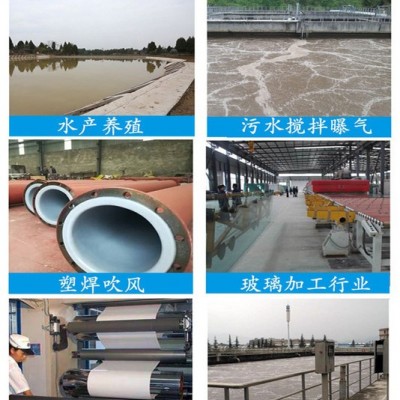 风机生产基地供应 啟正CCR65罗茨式风机图3
