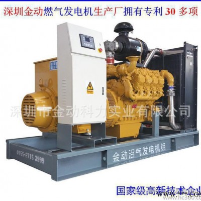 10KW小功率天燃气发电机发电机 大功率400KW沼气发电机图2