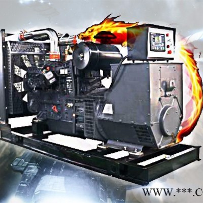 上柴股份180KW_品质保证_**_全国联保_百动电力_柴油发电机组、发电机、福建发电机 上柴发电机组价格 厂家供应图4