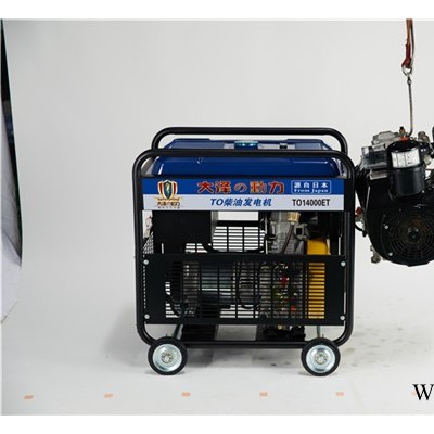 大泽动力 TO14000ET 小型10kw柴油发电机价格图3