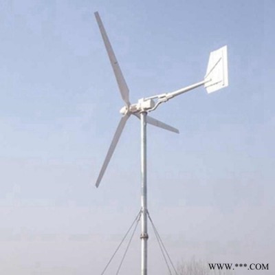 小型风力发电机2KW  220V家用风力发电机价格  实惠蓝润制造图4