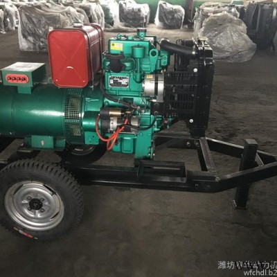 春华（ 2110D）柴油发电机组 20KW简易拖车型发电机组 全铜有刷电机 小型柴油发电机组   潍坊发电机图4