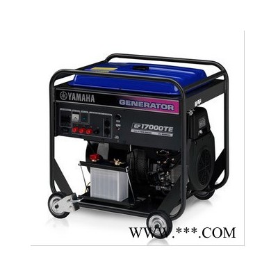 YAMAHA/雅马哈EF4000FW汽油发电机 雅马哈3kw发电机 220V陕西雅马哈发电机代理 现货供应图3