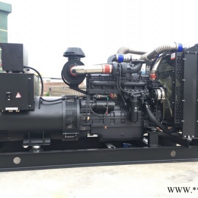 300柴油发电机组 上柴凯迅300KW全自动发电机组 柴油发电机组品牌图2