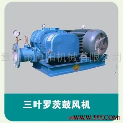 供应明阳牌     HYSR250罗茨鼓风机/罗茨风机图3