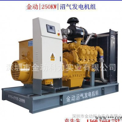 100KW沼气发电机 200KW天然气发电机 300KW沼图2