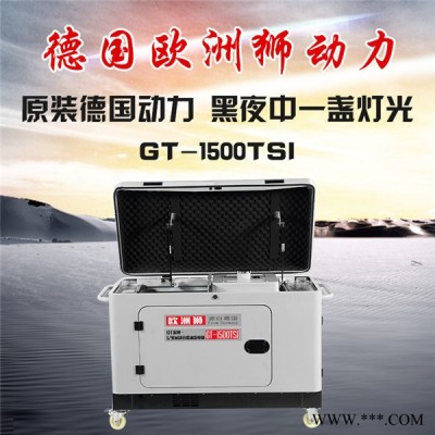 欧洲狮原装机12千瓦柴油发电机 柴油发电机图1