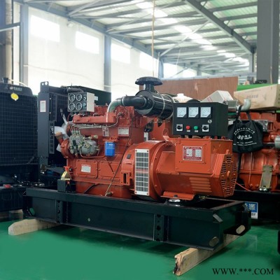 发电机20KW-潍坊20KW柴油发电机组 小型柴油发电机 潍坊发电机组图2