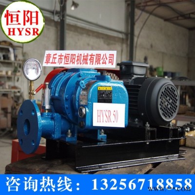 供应恒阳HYSR50-300性能优维修简便罗茨鼓风机图1
