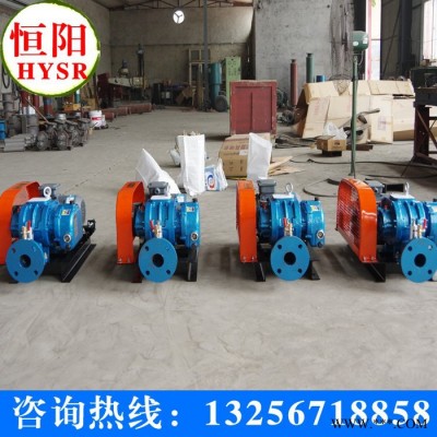 供应恒阳HYSR50-300性能优维修简便罗茨鼓风机图2