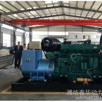 500KW柴油发电机组 潍柴500GF发电机组 潍柴重机王发动机 纯铜无刷发电机图2