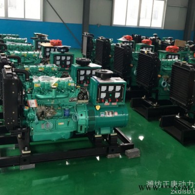潍柴30kw小型柴油发电机组 印刷机专用断电自启动发电机图4