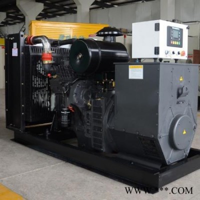 鑫达山力 上柴200kw柴油发电机 上柴200kw发电机组 欢迎咨询 上柴柴油发电机 上柴发电机组