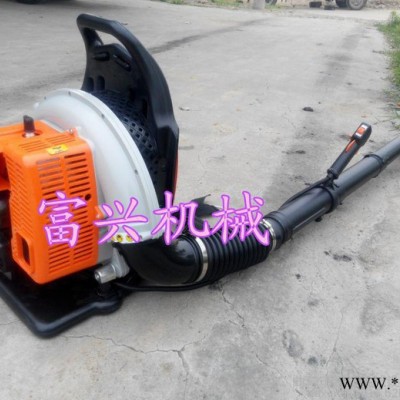 促销家用除雪吹风机  寿光吹风机价格 启航吹风机批发厂家图8