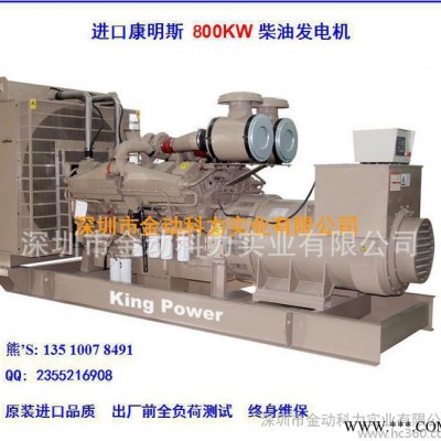 专业 康明斯 山西煤层气发电机 新疆柴油发电机 1000KW图2