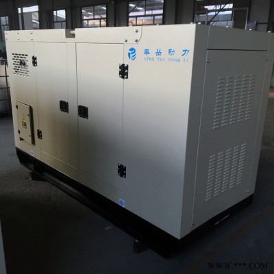 静音箱式发电机组 50kw柴油发电机 拖车静音箱发电机 发电机组厂家 丰岳动力图3