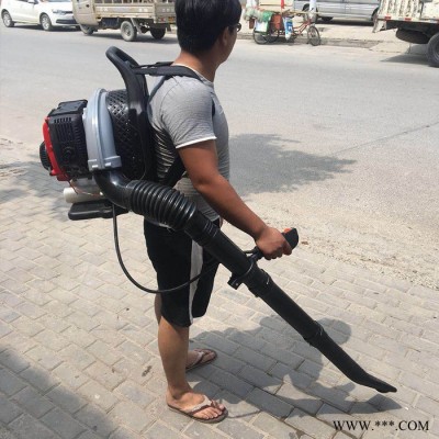 背负式吹风机 城市道路清洁吹风机 大功率背负式汽油吹风机图4