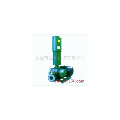 供应恒阳HYSR50-300**罗茨风机/罗茨真空泵图2