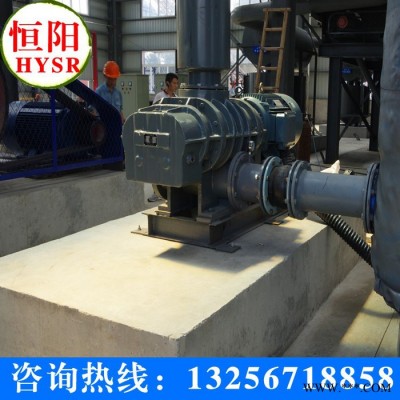 供应恒阳HYSR50-300**罗茨风机配件图3