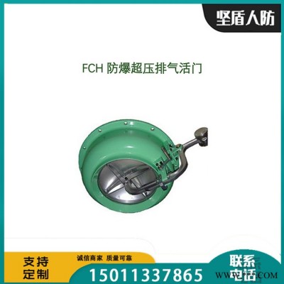 坚盾人防  DJF-1电动脚踏两用风机 电动风机 脚踏风机 货源批发 价格优惠图4
