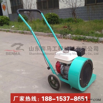 小型马路吹风机 混凝土裂缝吹风机 汽油吹风机园林吹灰尘石子 路面吹风机图5