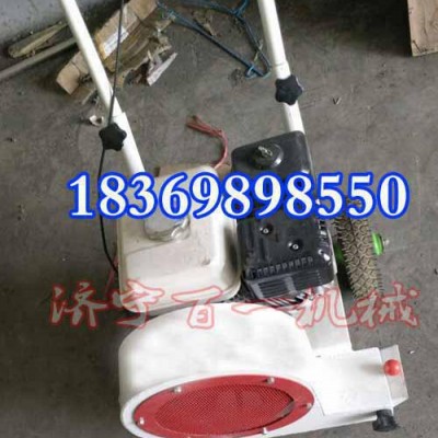 百一 道路清理吹风机 手推式吹风机专业打造图1