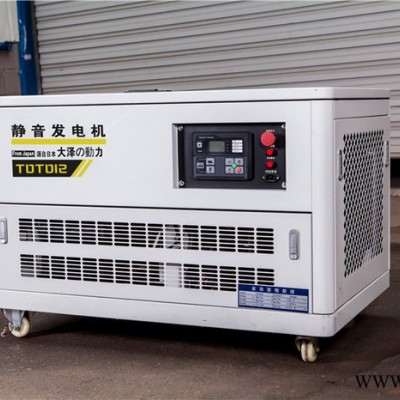 大泽动力35KW汽油发电机公寓应急图5