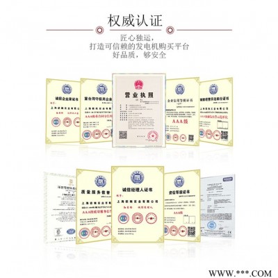 JET8000IS数码变频发电机10kw意欧鲍 便携式变频发电机组图1