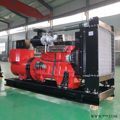 150KW发电机组_供应备用型柴油发电机组_潍坊150kw柴油发电机组图2