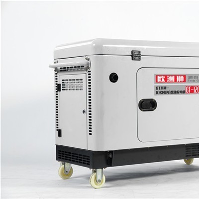 欧洲狮3KW柴油发电机市政服务图8
