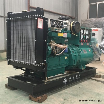 50kw柴油发电机组 小型柴油发电机组 欢迎选购 丰岳 潍坊系列发电机组设备