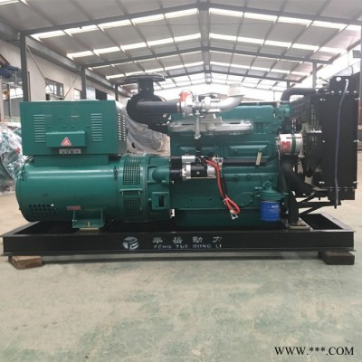 50kw柴油发电机组 小型柴油发电机组 欢迎选购 丰岳 潍坊系列发电机组设备图5