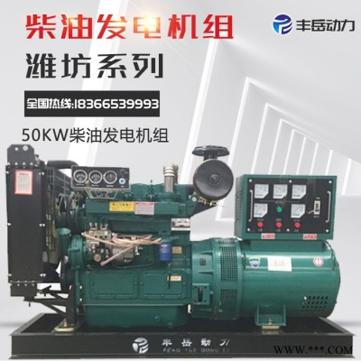 50kw柴油发电机组 小型柴油发电机组 欢迎选购 丰岳 潍坊系列发电机组设备图2