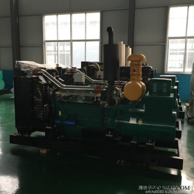 斯太尔（6126ZLD）200KW柴油发电机组 养殖社专用潍柴发电机图2