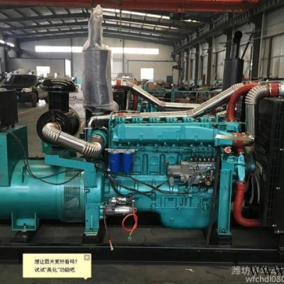 斯太尔（6126ZLD）200KW柴油发电机组 养殖社专用潍柴发电机图3
