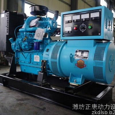 潍柴华丰40KW柴油发电机组 40千瓦无刷ats全自动化控制发电机图2