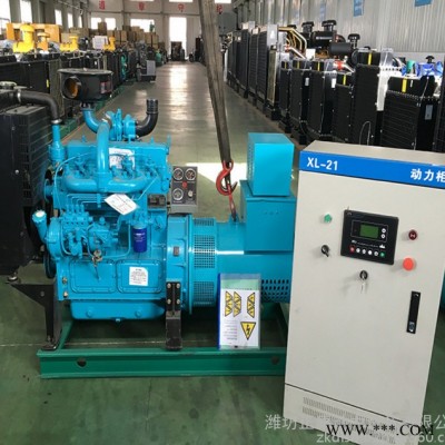 潍柴华丰40KW柴油发电机组 40千瓦无刷ats全自动化控制发电机图4