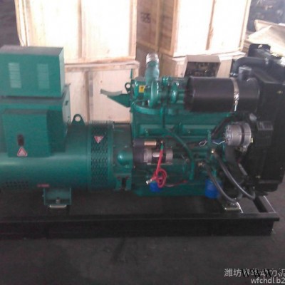 潍柴(ZH4105ZD)发电机组 50KW养殖场用柴油发电机组图1