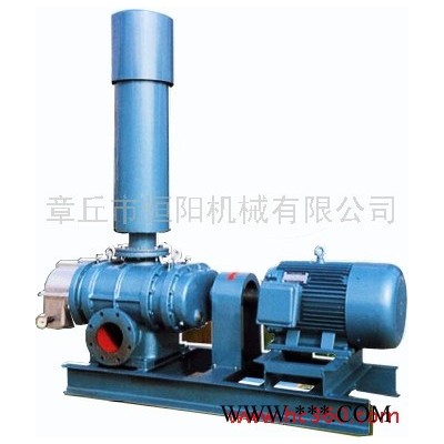 供应明阳牌HYSR50-300专业生产罗茨风机/污水处理风机图3