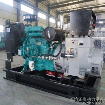 潍柴道依茨25KW柴油发电机组 养殖户专用的高效省油发电机图2