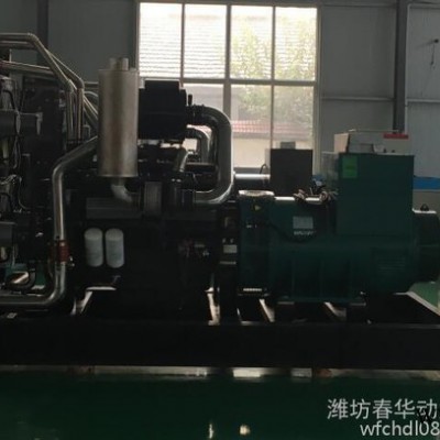 1000KW柴油发电机组 上柴500GF发电机组 上柴系列发动机 全铜无刷发电机图1