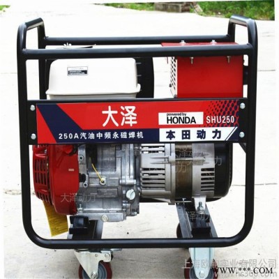 大泽动力20kw静音汽油发电机 全自动发电机厂家定制销售图2