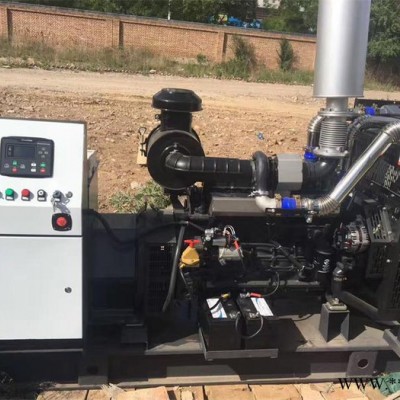 重汽杭州斯太尔 D222GZ01发电机组220KW柴油发电机组 发电机组制造商供应房地产备用电源发电机组图2
