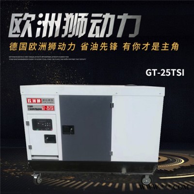 选择柴油发电机20kw功率图4